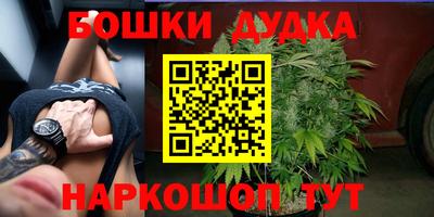 сатива Вязьма